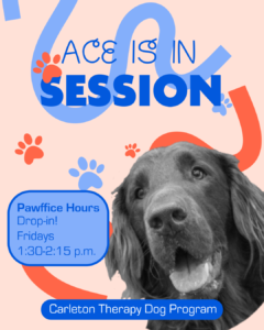 Ace is in Session. Pawffice hours: drop-in! Fridays 1:30-2:15 p.m. Carleton Therapy Dog Program.