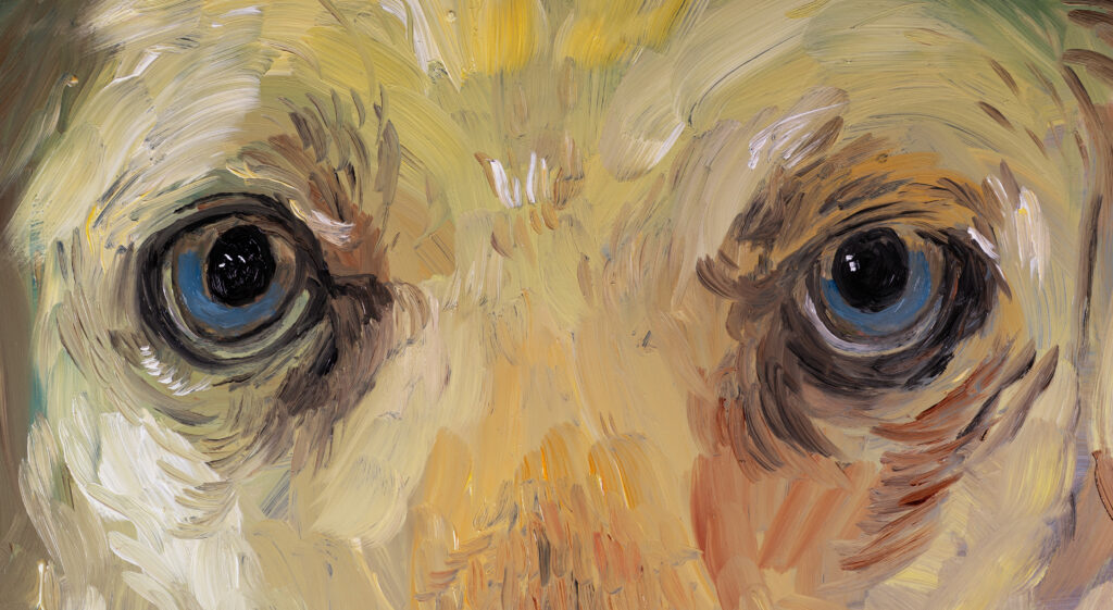 A painting of a golden retriever's eyes.