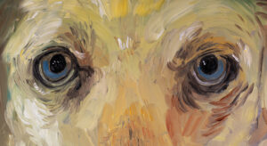 A painted close-up of a golden retriever dog's blue eyes.
